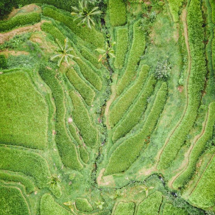 Entertainment zone at night in France